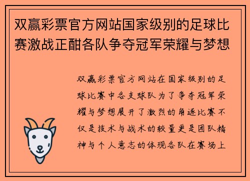 双赢彩票官方网站国家级别的足球比赛激战正酣各队争夺冠军荣耀与梦想